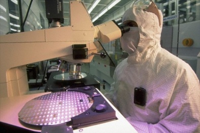 Ươm tạo và phát triển công nghệ cao